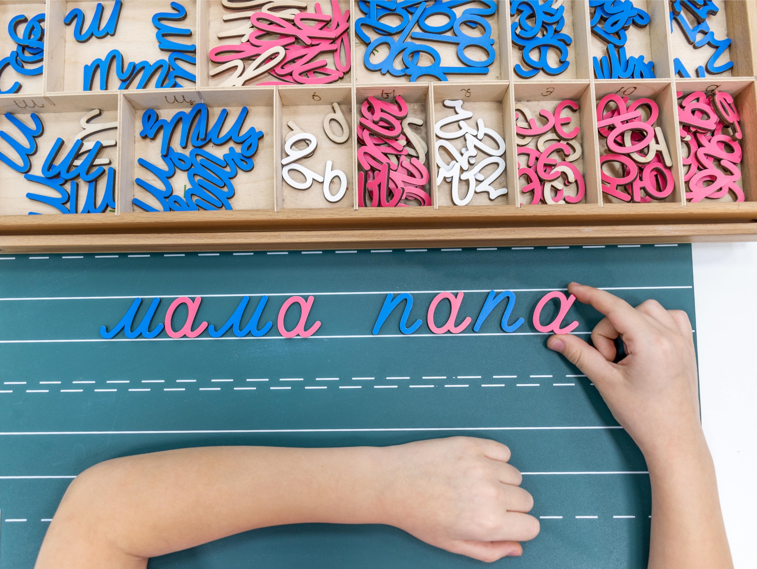 Procesos cognitivos de la lectura: el cerebro cuando leemos