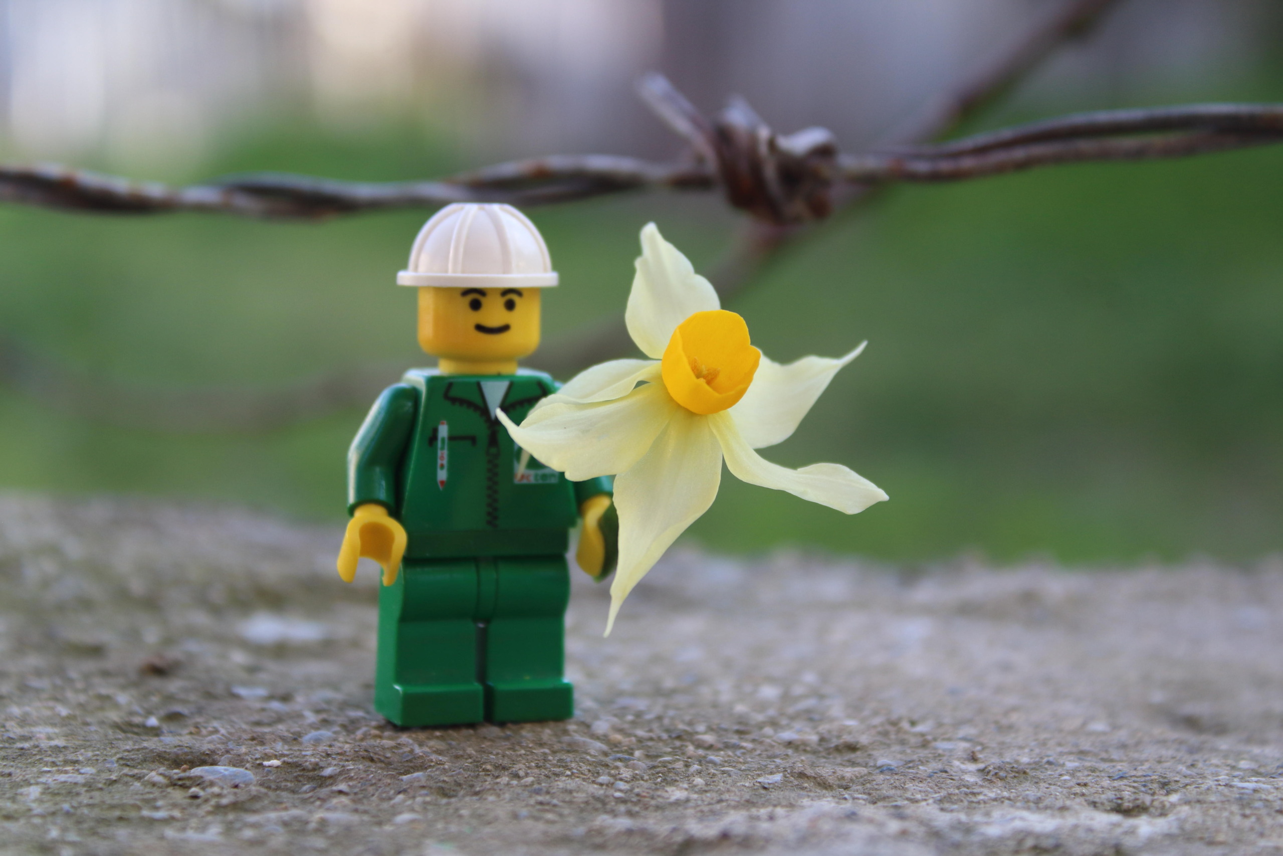 Cuentos populares mexicanos: edición Trivial