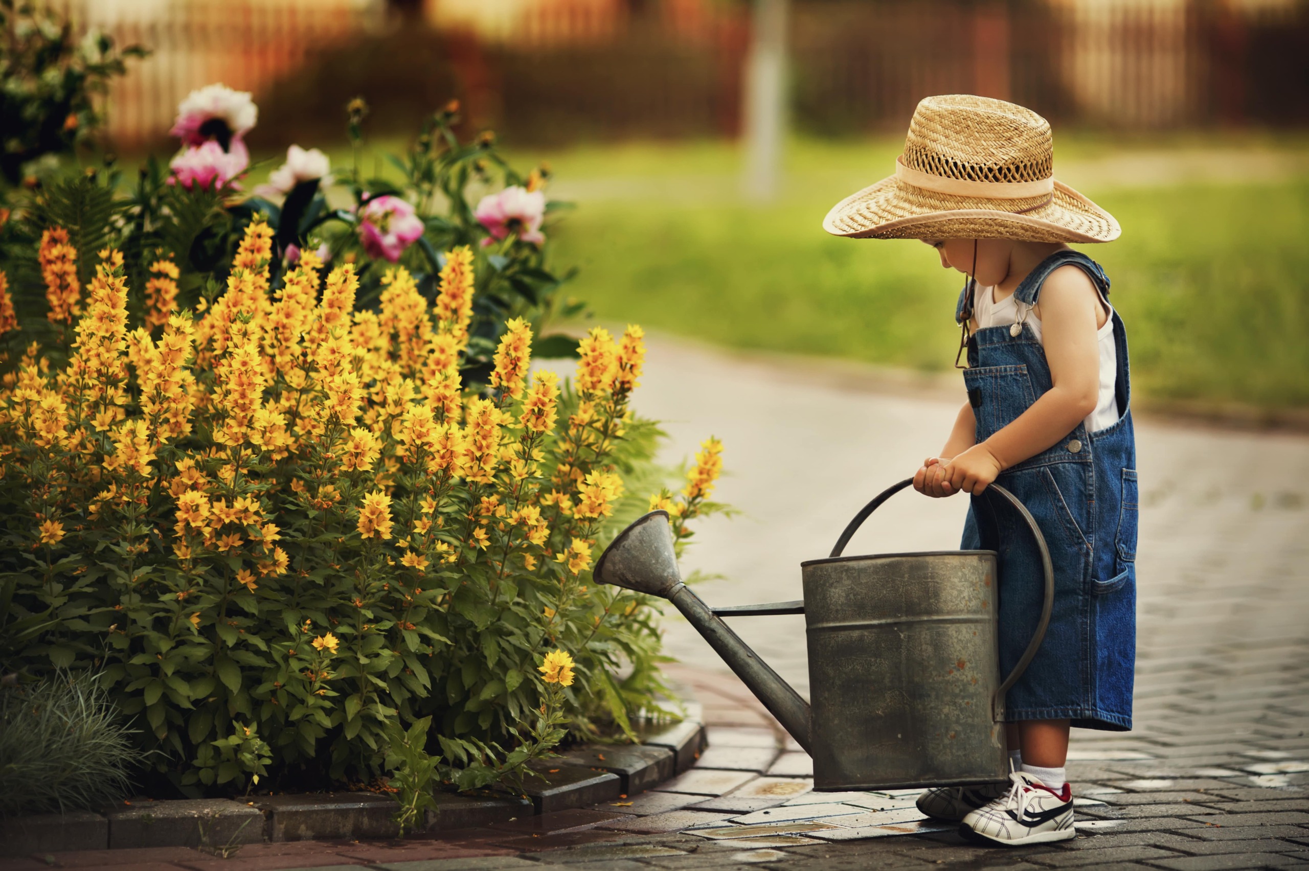 Educación en valores en infantil: ¿por dónde empiezo?