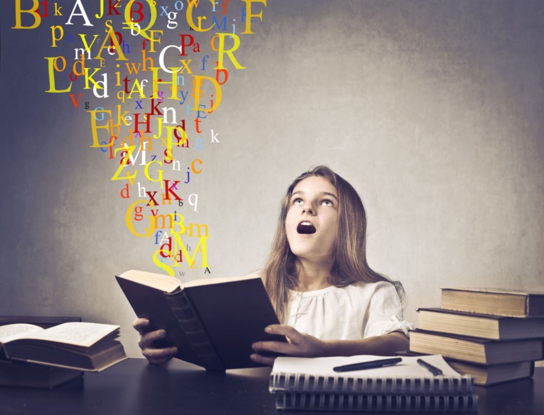 Lengua 6 Primaria: fundamentos esenciales